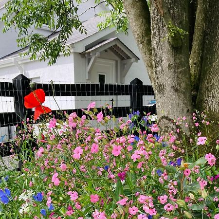 Beech Tree Cottage Glenwherry Exteriör bild