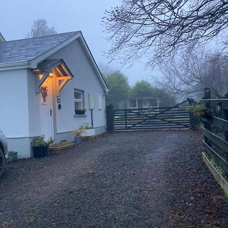Beech Tree Cottage Glenwherry Exteriör bild
