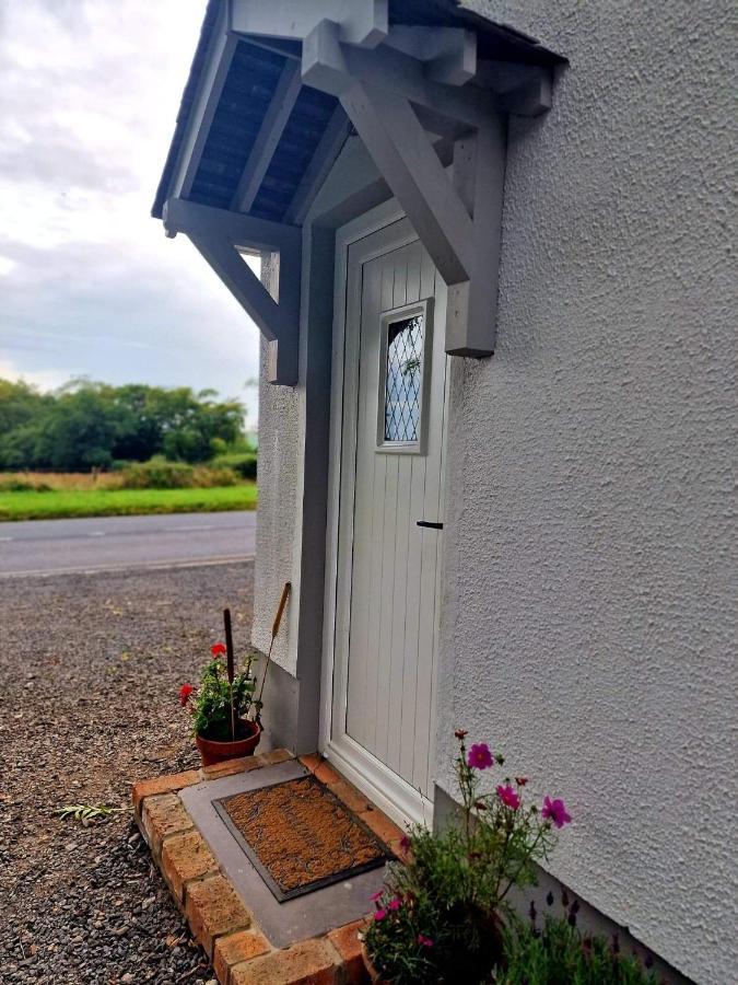 Beech Tree Cottage Glenwherry Exteriör bild