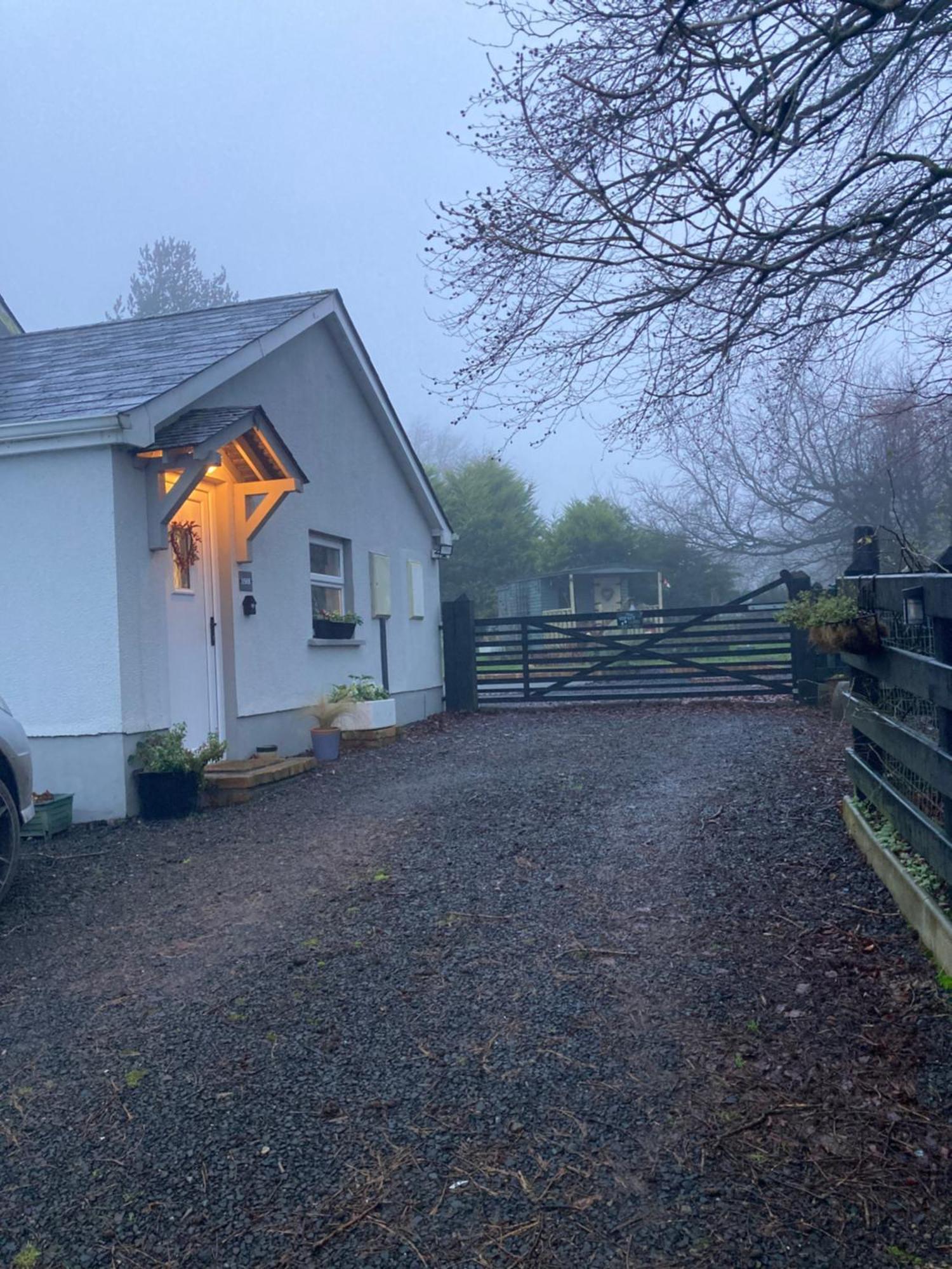 Beech Tree Cottage Glenwherry Exteriör bild